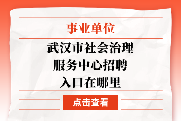 武汉市社会治理服务中心招聘入口在哪里