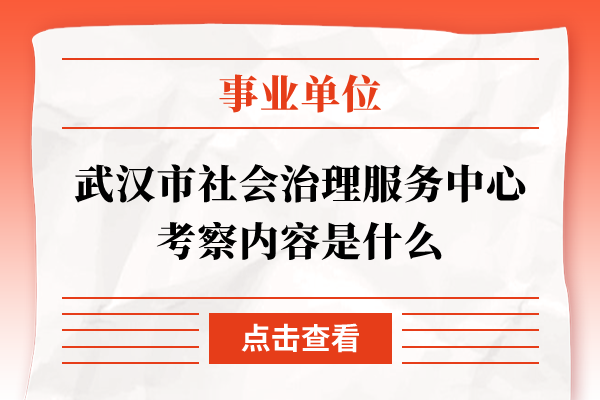 武汉市社会治理服务中心考察内容是什么