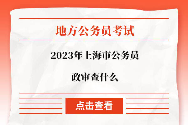2023年上海市公务员政审查什么